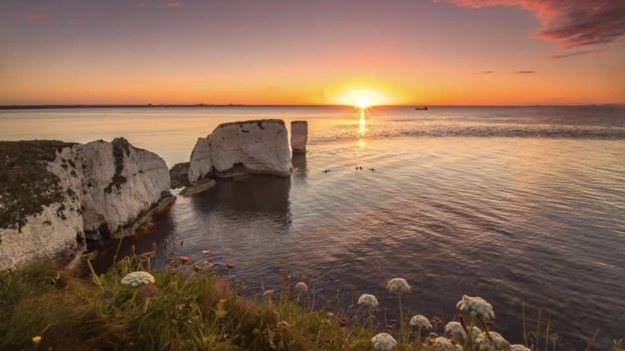 Arbour House B&B Swanage Dış mekan fotoğraf