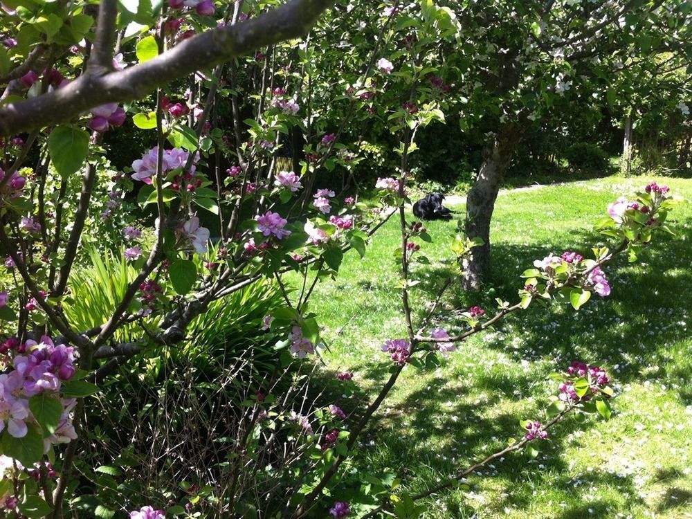 Arbour House B&B Swanage Dış mekan fotoğraf